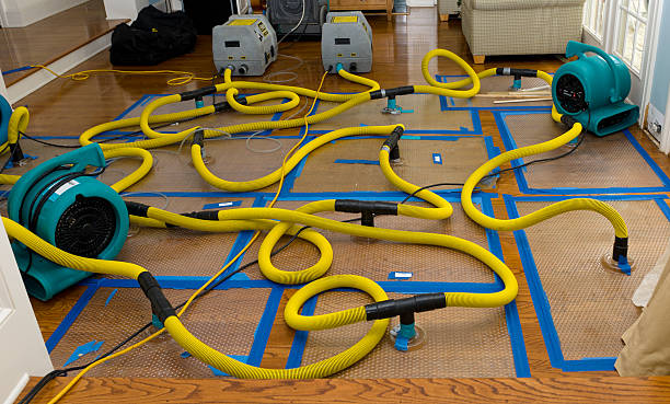 Professional Basement Flood Cleanup technician working in Julian, WV