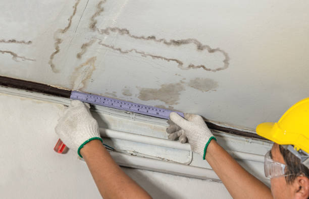Affordable Water Damage Repair solutions in Julian, WV